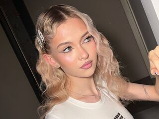 spy cam FelicaTapper